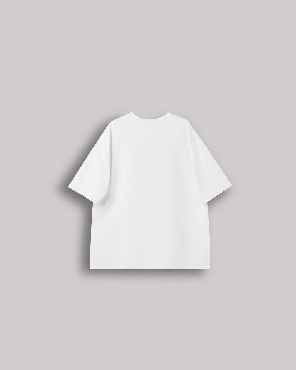 Stripe Front Print Graphic Tee in white