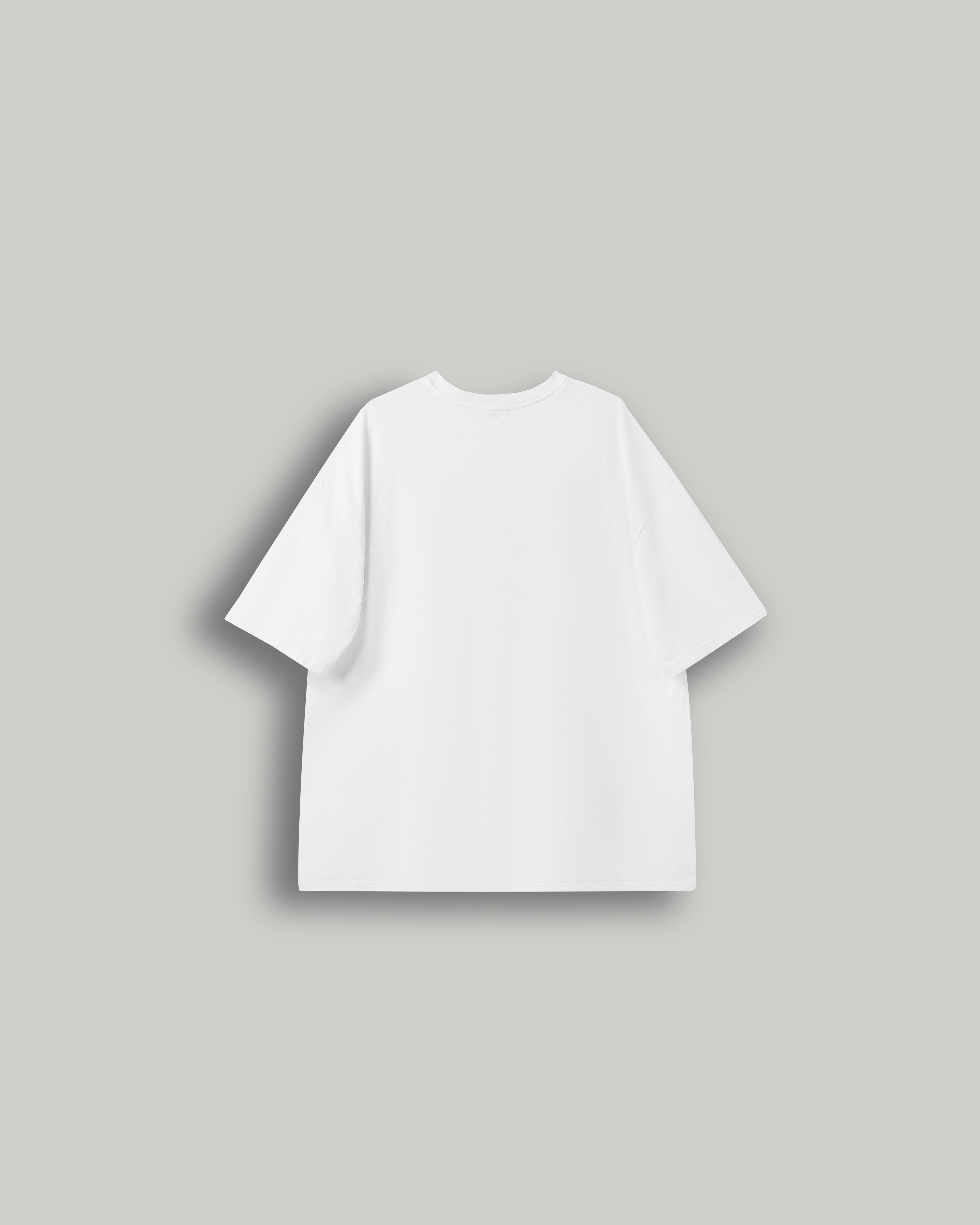 Stripe Front Print Graphic Tee in white